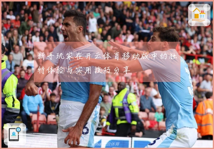 新手玩家在开云体育移动版中的独特体验与实用技巧分享