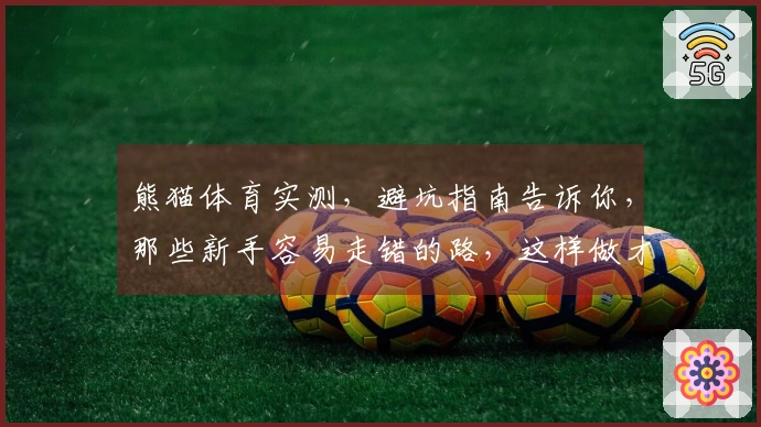 熊猫体育实测，避坑指南告诉你，那些新手容易走错的路，这样做才对！