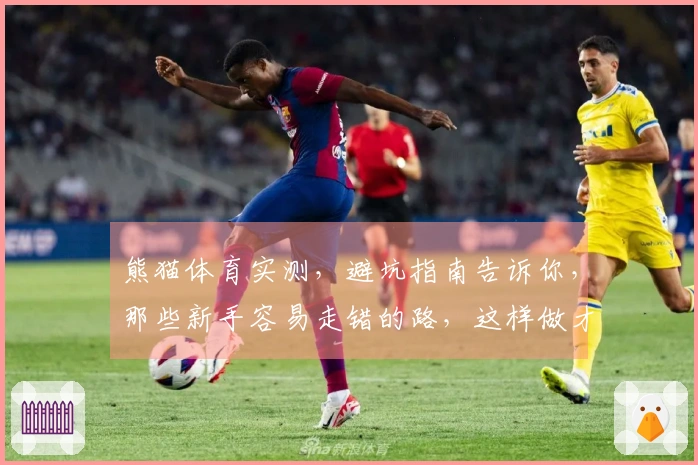 熊猫体育实测，避坑指南告诉你，那些新手容易走错的路，这样做才对！