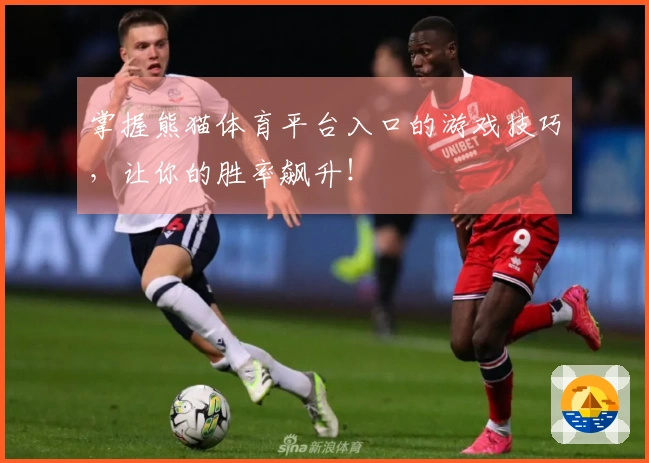 掌握熊猫体育平台入口的游戏技巧，让你的胜率飙升！